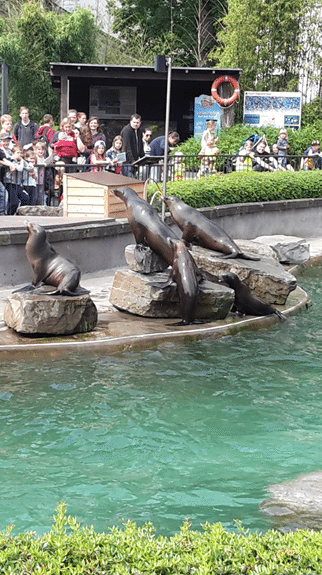 zoo