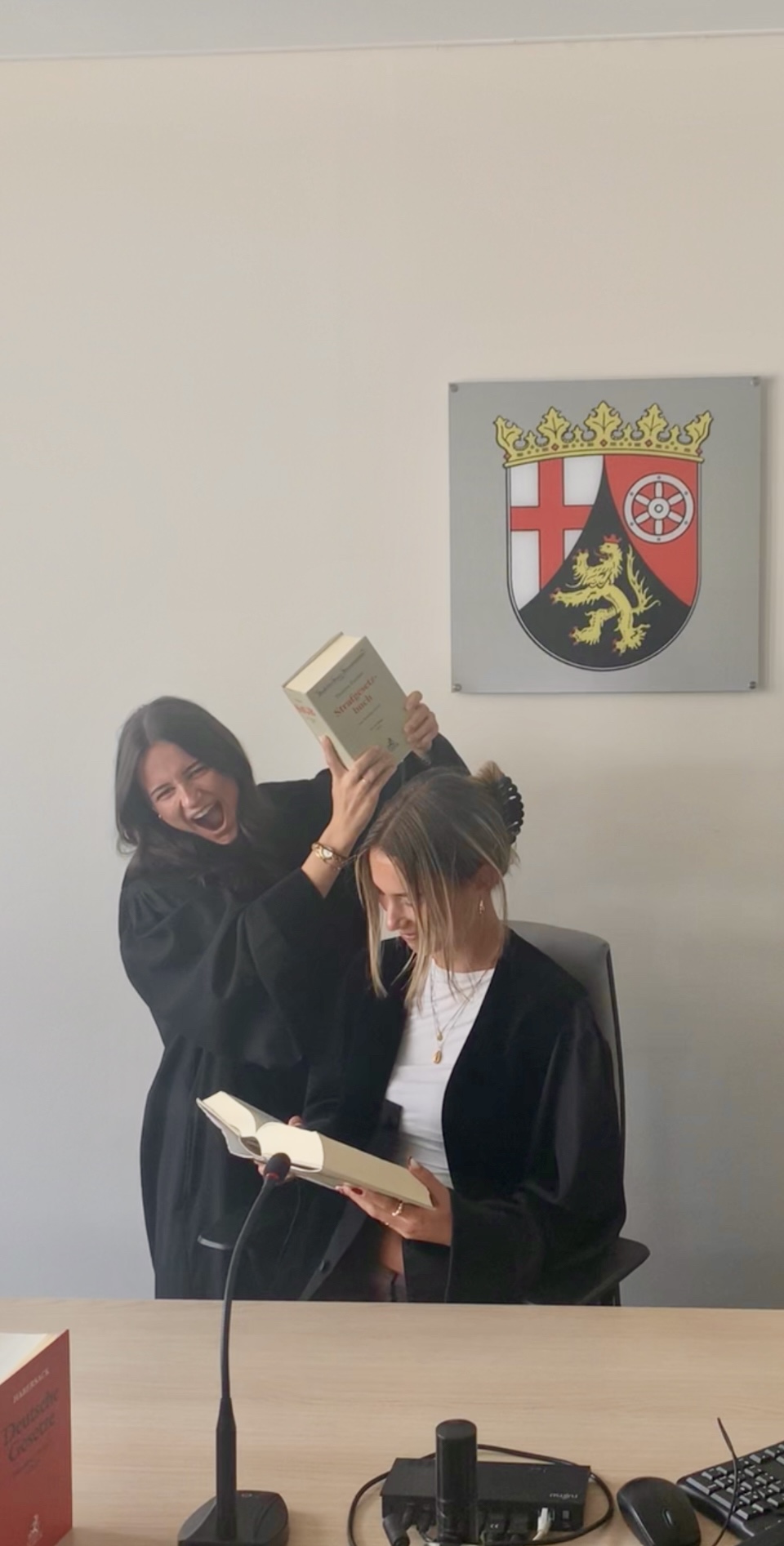 WirLebenRechtsstaat (8)